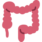 colon-150x150