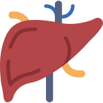 liver-150x150