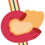 pancreas-150x150