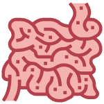 small-intestine-150x150