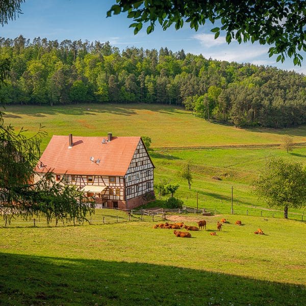 Gostišča in kmečki turizem